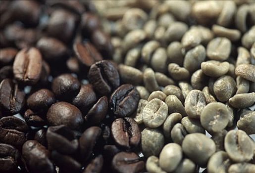 咖啡豆,烤,阿拉伯咖啡