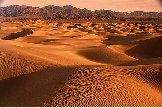 沙漠,死谷,加利福尼亚,美国