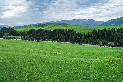 新疆,伊犁,唐布拉草原,百里画廊,雪山,自然风光,航拍