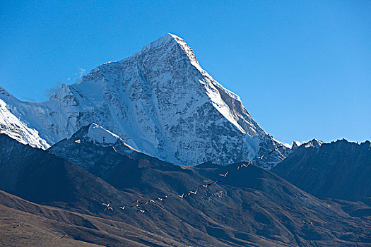 卓木拉日雪山