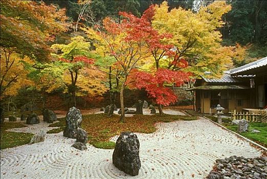 禅,庙宇,花园,九州,日本