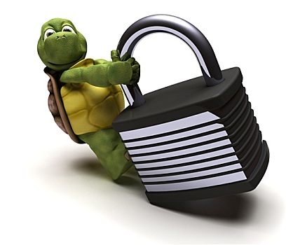 龟,挂锁