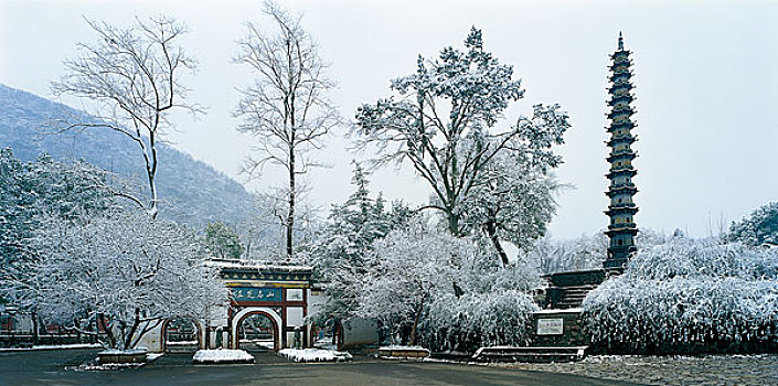 湖北当阳玉泉寺雪景