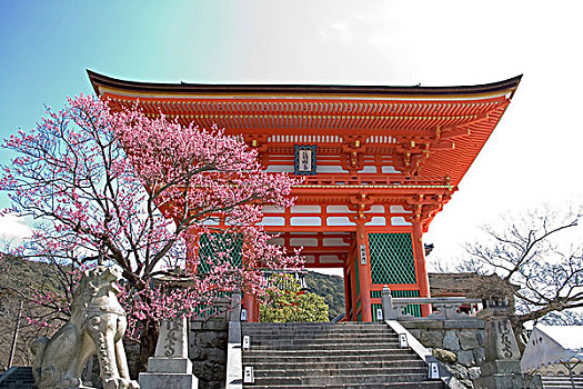 日本,京都,翱翔,大门,庙宇