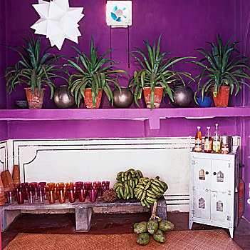 多汁植物,陶制器具,银,涂绘,容器,展示,长,架子,鲜明,紫色,厨房