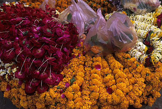 印度,瓦腊纳西,街景,花,供品,出售,特写