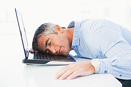 男人,灰发,睡觉,笔记本电脑