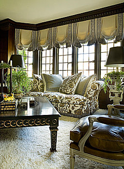 软垫,沙发,正面,窗户,传统风格,起居室