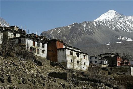 风景,涂绘,房子,积雪,山,安娜普纳地区,尼泊尔