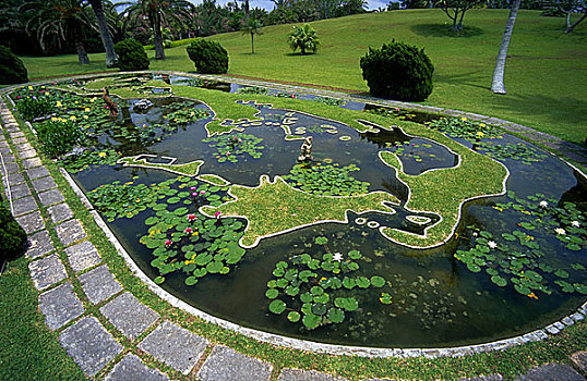 加勒比,百慕大,手掌,小树林,花园