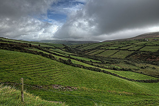 绿色,乡村风光,丁格尔半岛,凯瑞郡,爱尔兰
