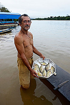 渔民,小,抓住,水虎鱼,地区,巴西,南美
