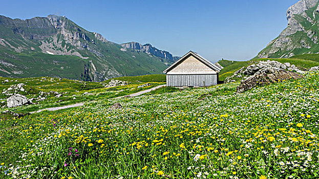 山区木屋,山地牧场,山脉,瑞士,欧洲