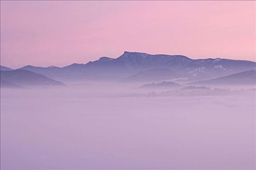 顶峰,防护,风景,区域,山,斯洛伐克,欧洲