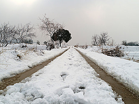 道路