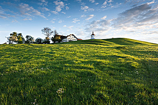 农场,小教堂,区域,巴伐利亚,德国