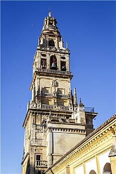 尖塔,清真寺,科多巴,西班牙