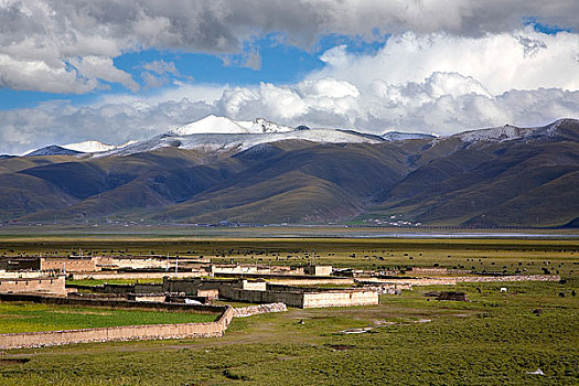 西藏,当雄,草原
