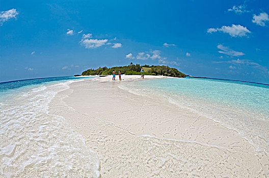 沙子,岛屿,北方,环礁,马尔代夫,印度洋,亚洲
