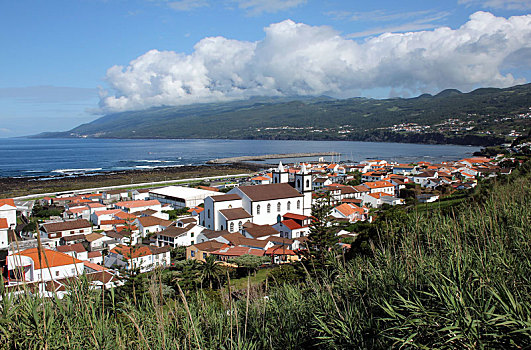 乡村,亚速尔群岛,岛屿,葡萄牙