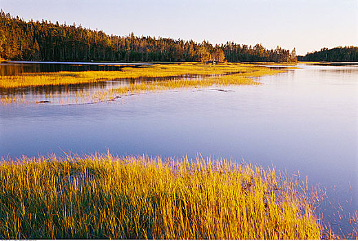 景色,湖,新斯科舍省,加拿大