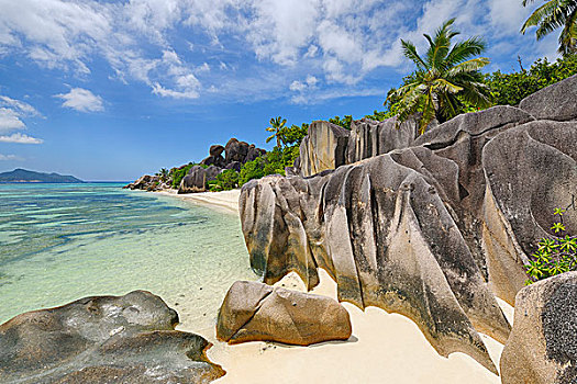 岩石构造,棕榈树,拉迪格岛,塞舌尔