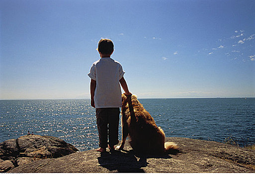 后视图,男孩,狗,岩石上,靠近,水
