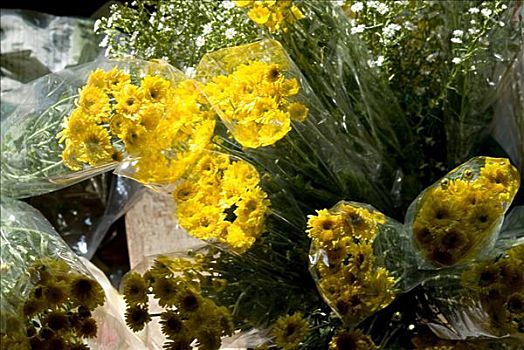 泰国,曼谷,丹能沙朵水上市场,水上市场,亮黄色,花,出售