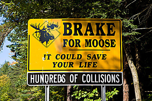 警告标识,道路,制动,驼鹿,新罕布什尔,新英格兰,美国