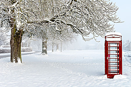 红色,电话亭,雪地,靠近