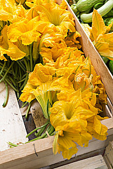 西葫芦花,木质,板条箱,市场,科西嘉岛