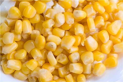 玉米,种子