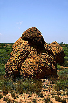 巨大,蚂蚁,山,白蚁,窝,西澳大利亚州,澳大利亚