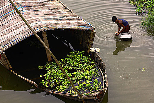 村民,抓住,鱼,靠近,堤岸,雅鲁藏布江,孟加拉,四月,2009年