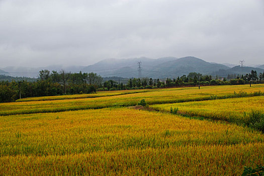 霭里村,美丽乡村,乡村旅游