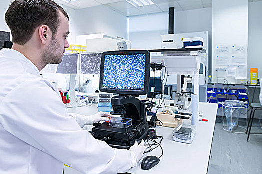 癌症研究,实验室,科学家,学习,细胞,显微镜,用电脑,显示屏