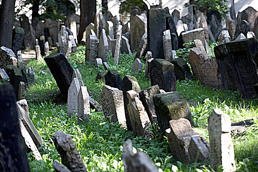 犹太,墓地,犹太区,布拉格,墓石