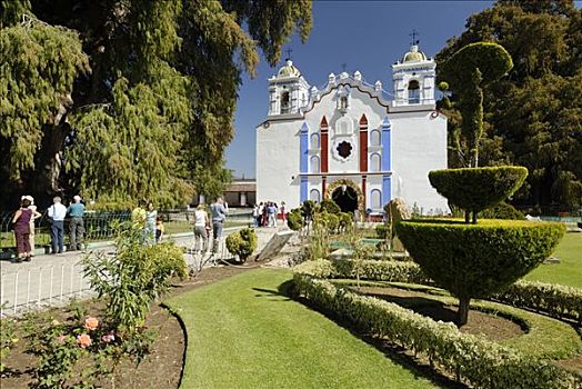 教堂,树,圣马利亚,瓦哈卡,墨西哥