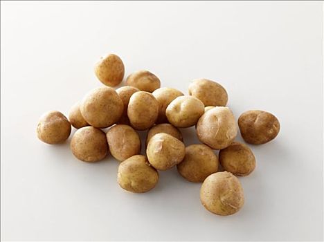 新土豆,品种