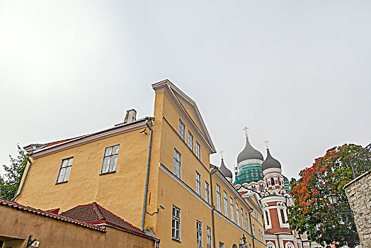 亚历山大涅夫斯基大教,爱沙尼亚