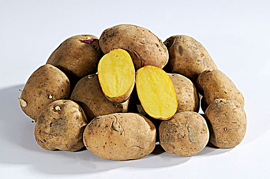 土豆,品种,平分