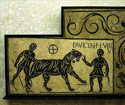 罗马人,镶嵌图案,虎,角斗士,二世纪,艺术家,未知