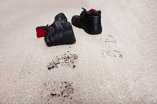 一双鞋,泥,地毯,地面