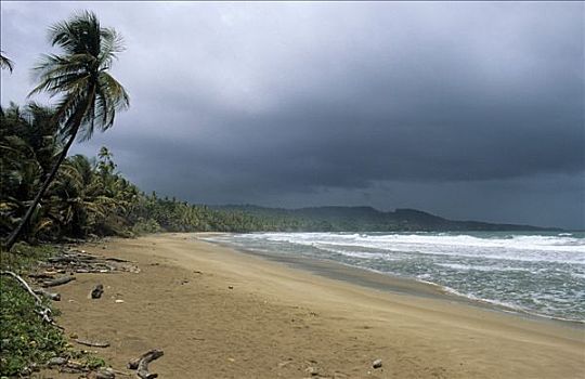 雷暴,湾,东海岸,特立尼达,多巴哥岛