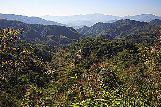 泰国,清莱,省,金三角,风景,景色