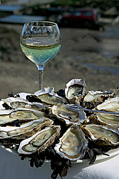 牡蛎,大浅盘,港口,布列塔尼半岛,法国