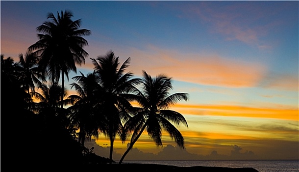日落,上方,加勒比海,海龟滩,多巴哥岛