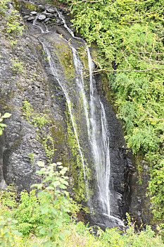 山村春来无限生机