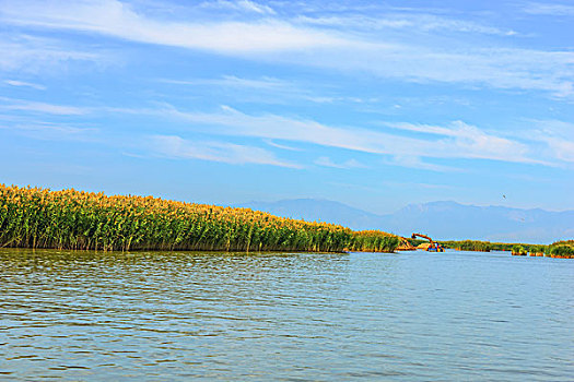 宁夏回族自治区,沙湖美景