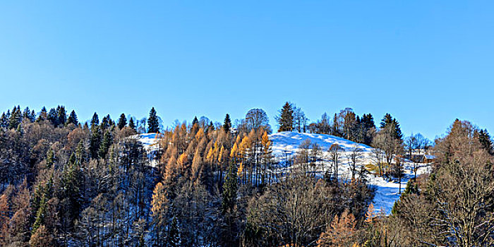 冬天,靠近,跳台滑雪,加米施帕藤基兴